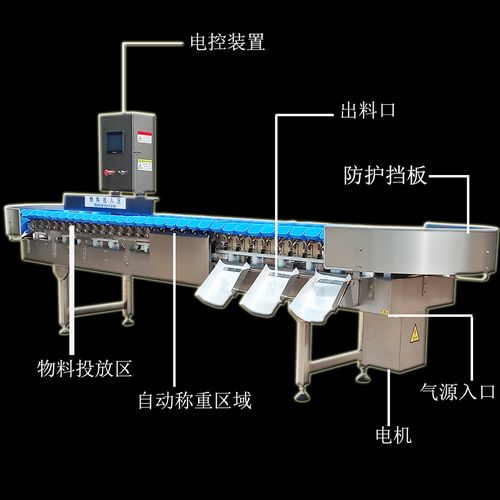 雞翅中重量分級機與雞產品自動分揀系統 革新家禽加工行業的高效解決方案